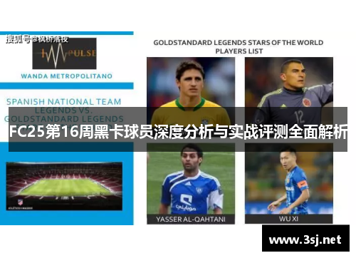 FC25第16周黑卡球员深度分析与实战评测全面解析